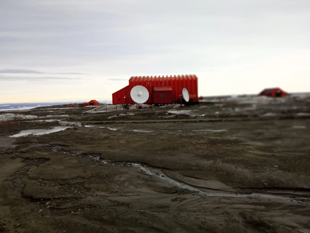 WhatsApp Image 2024-11-21 at 01.54.33 (1)